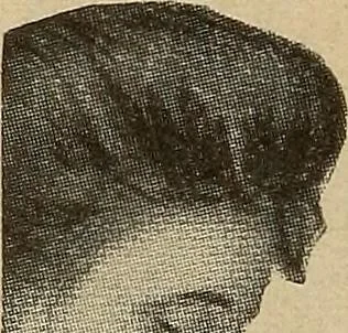 An illustration from Engraving and printing methods, advertisement illustration, technical- and trade-paper advertising, street-car advertising, outdoor advertising, house publications, 1909, leaf 285