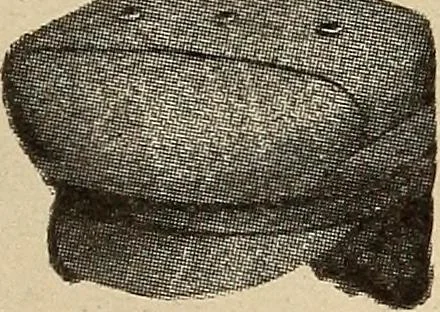 An illustration from Engraving and printing methods, advertisement illustration, technical- and trade-paper advertising, street-car advertising, outdoor advertising, house publications, 1909, leaf 370
