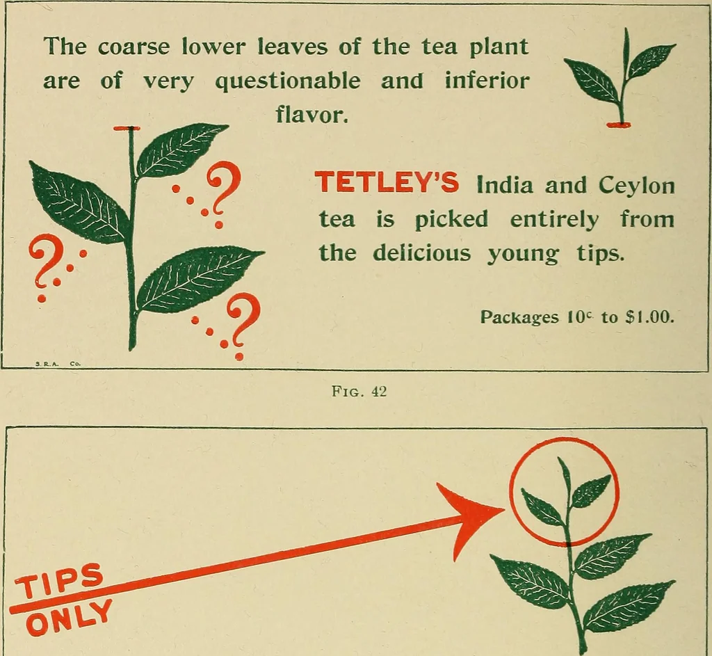 An illustration from Engraving and printing methods, advertisement illustration, technical- and trade-paper advertising, street-car advertising, outdoor advertising, house publications, 1909, leaf 437