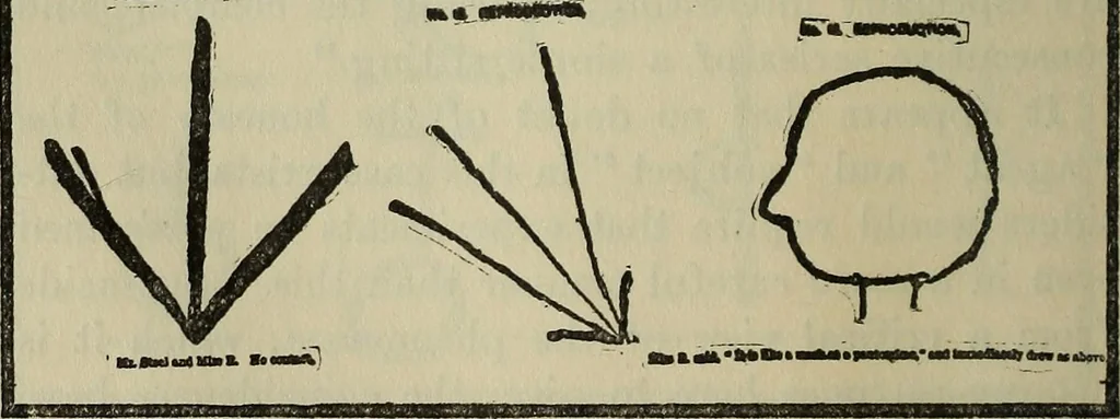 An illustration from Enigmas of psychical research, 1906, leaf 141