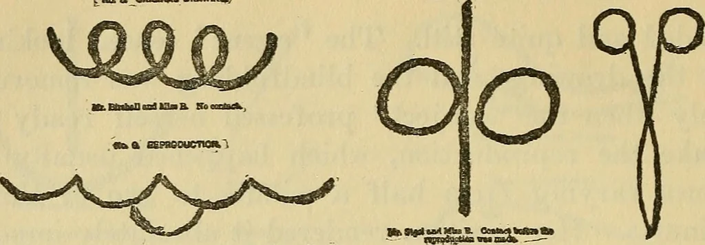 An illustration from Enigmas of psychical research, 1906, leaf 140