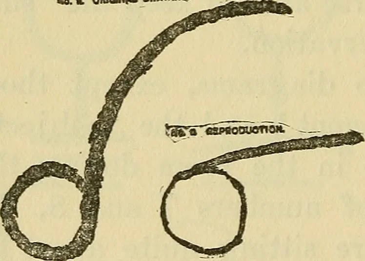 An illustration from Enigmas of psychical research, 1906, leaf 140