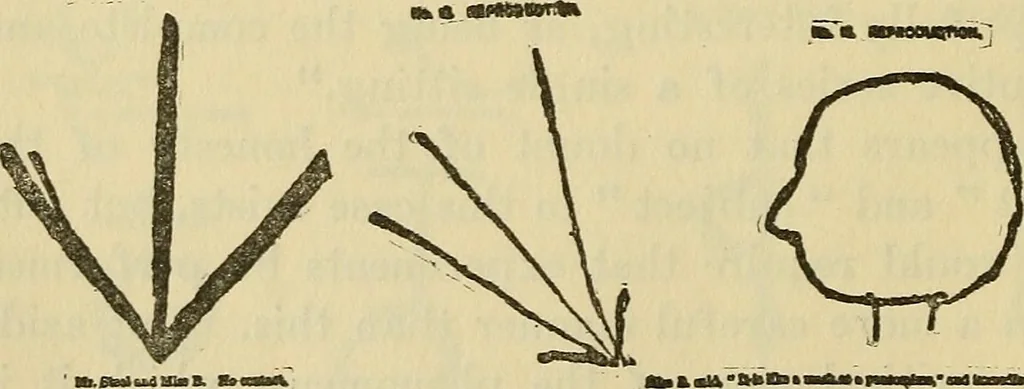 An illustration from Enigmas of psychical research, 1906, leaf 140