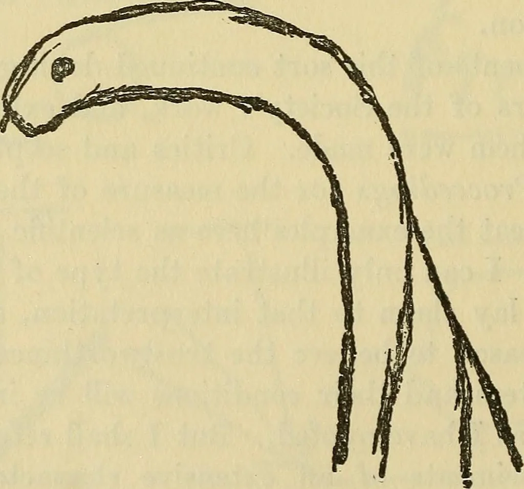 An illustration from Enigmas of psychical research, 1906, leaf 142