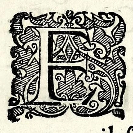 An illustration from Enone abbandonata : dramma musicale rappresentato su' teatri di Bologna, 1651, leaf 11