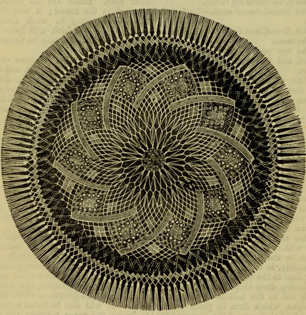 An illustration from Enquire within upon everything : to which is added: enquire within upon fancy needlework ..., 1870, leaf 369