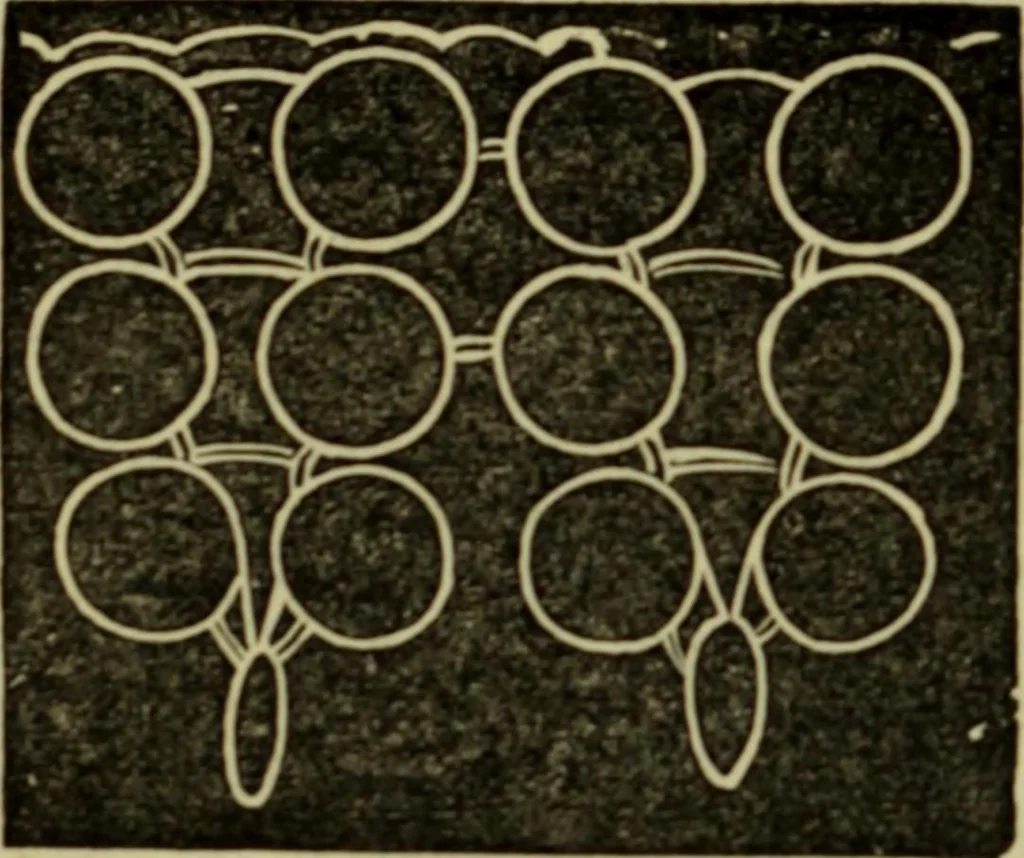 An illustration from Enquire within upon everything : to which is added: enquire within upon fancy needlework ..., 1870, leaf 373