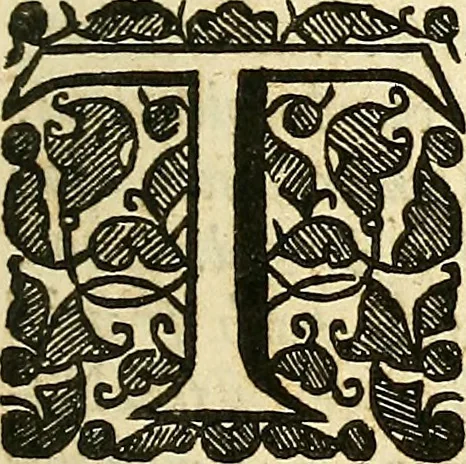 An illustration from Enquiries into human nature : in VI anatomic praelections, in the new theatre of the Royal College of Physicians in London, 1680, leaf 22