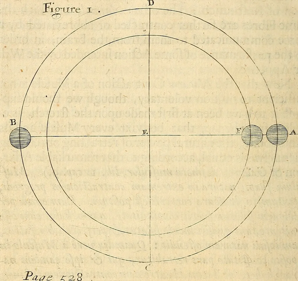 An illustration from Enquiries into human nature : in VI anatomic praelections, in the new theatre of the Royal College of Physicians in London, 1680, leaf 359