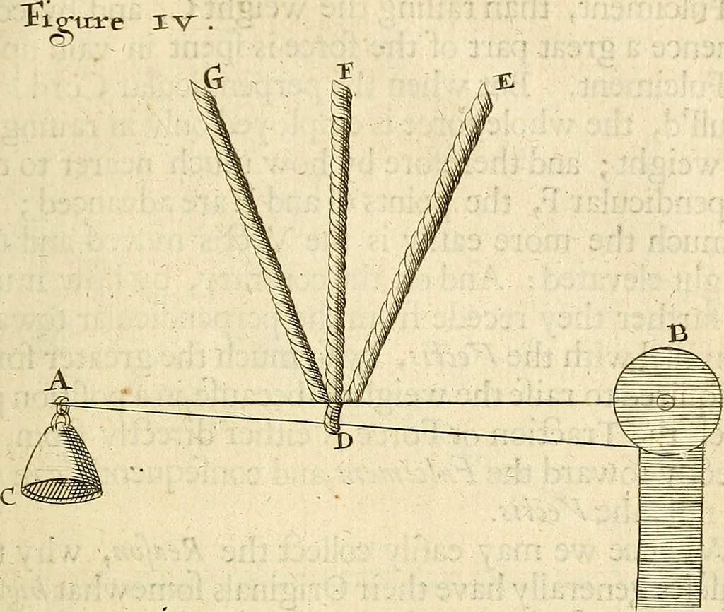 An illustration from Enquiries into human nature : in VI anatomic praelections, in the new theatre of the Royal College of Physicians in London, 1680, leaf 366