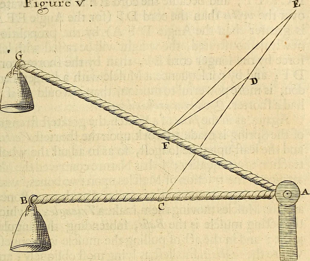 An illustration from Enquiries into human nature : in VI anatomic praelections, in the new theatre of the Royal College of Physicians in London, 1680, leaf 368