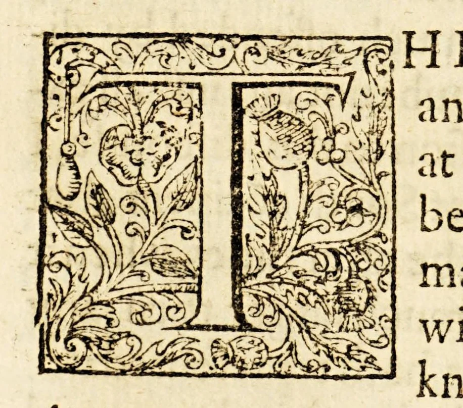 An illustration from Enquiries touching the diuersity of langvages, and religions through the cheife parts of the world., 1614, leaf 152