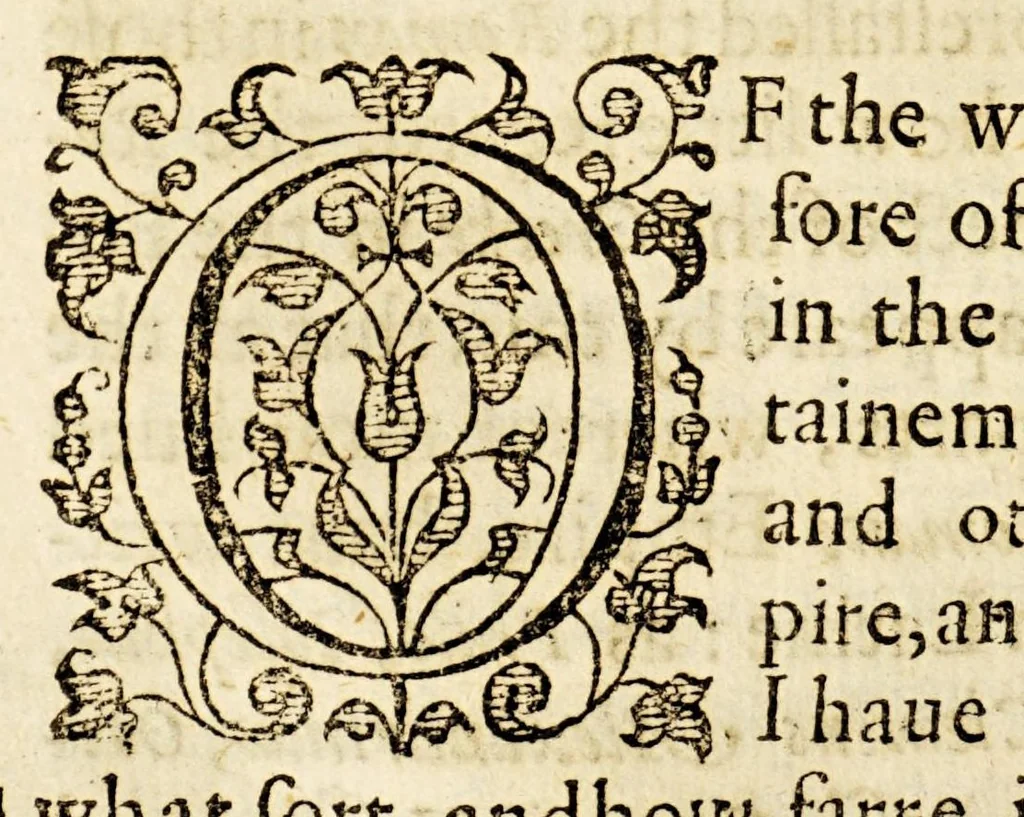 An illustration from Enquiries touching the diuersity of langvages, and religions through the cheife parts of the world., 1614, leaf 48