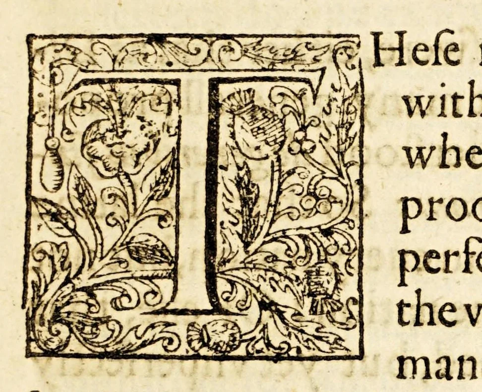 An illustration from Enquiries touching the diuersity of langvages, and religions through the cheife parts of the world., 1614, leaf 67
