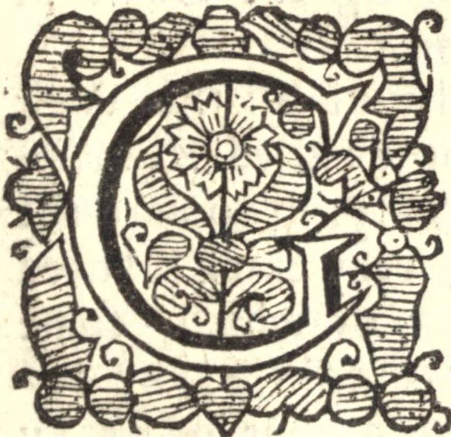 An illustration from Enquiries touching the diversity of languages and religious, through the chief parts of the world, 1674, leaf 36