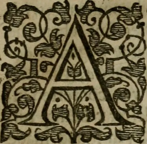 An illustration from Enqviries Tovching the diversity of Langvages, and Religions, through the chiefe parts of the World, 1635, leaf 158