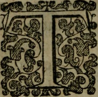 An illustration from Enqviries Tovching the diversity of Langvages, and Religions, through the chiefe parts of the World, 1635, leaf 163