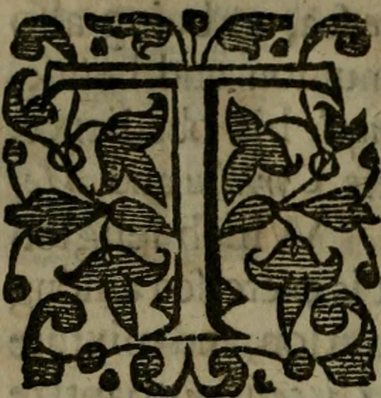 An illustration from Enqviries Tovching the diversity of Langvages, and Religions, through the chiefe parts of the World, 1635, leaf 165