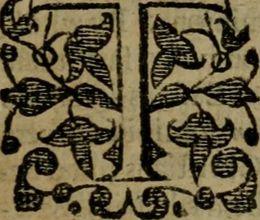 An illustration from Enqviries Tovching the diversity of Langvages, and Religions, through the chiefe parts of the World, 1635, leaf 168