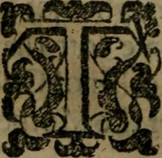 An illustration from Enqviries Tovching the diversity of Langvages, and Religions, through the chiefe parts of the World, 1635, leaf 173