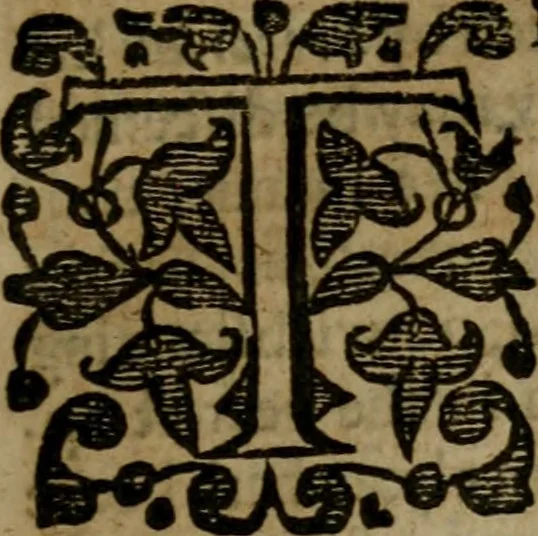 An illustration from Enqviries Tovching the diversity of Langvages, and Religions, through the chiefe parts of the World, 1635, leaf 204
