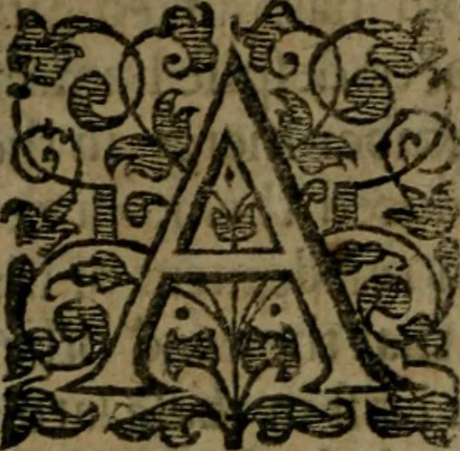 An illustration from Enqviries Tovching the diversity of Langvages, and Religions, through the chiefe parts of the World, 1635, leaf 213