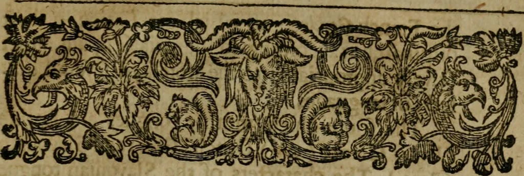 An illustration from Enqviries Tovching the diversity of Langvages, and Religions, through the chiefe parts of the World, 1635, leaf 228