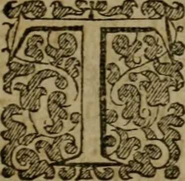 An illustration from Enqviries Tovching the diversity of Langvages, and Religions, through the chiefe parts of the World, 1635, leaf 228