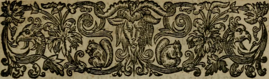 An illustration from Enqviries Tovching the diversity of Langvages, and Religions, through the chiefe parts of the World, 1635, leaf 30