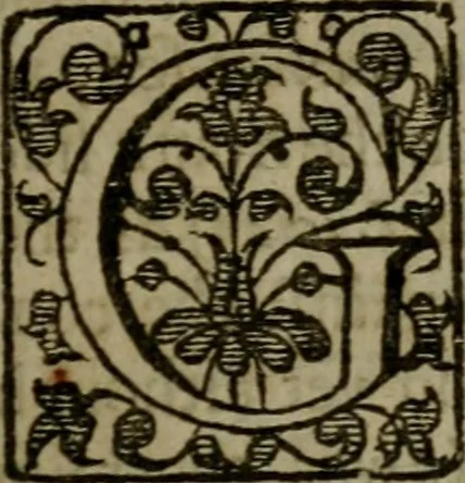 An illustration from Enqviries Tovching the diversity of Langvages, and Religions, through the chiefe parts of the World, 1635, leaf 30