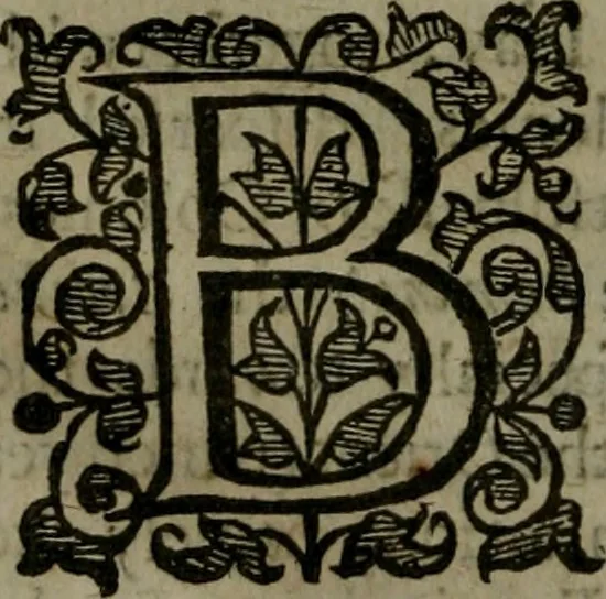 An illustration from Enqviries Tovching the diversity of Langvages, and Religions, through the chiefe parts of the World, 1635, leaf 37