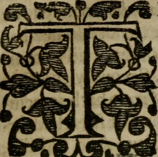 An illustration from Enqviries Tovching the diversity of Langvages, and Religions, through the chiefe parts of the World, 1635, leaf 42