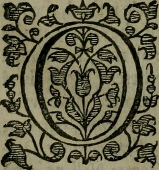 An illustration from Enqviries Tovching the diversity of Langvages, and Religions, through the chiefe parts of the World, 1635, leaf 49