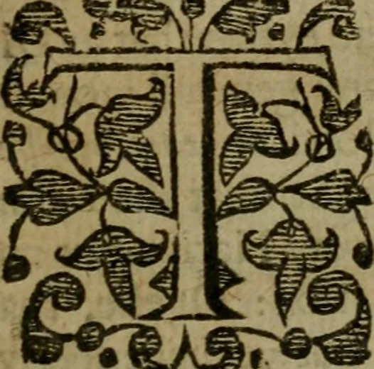 An illustration from Enqviries Tovching the diversity of Langvages, and Religions, through the chiefe parts of the World, 1635, leaf 68