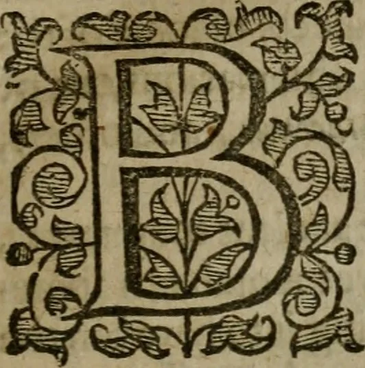 An illustration from Enqviries Tovching the diversity of Langvages, and Religions, through the chiefe parts of the World, 1635, leaf 74