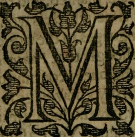 An illustration from Enqviries Tovching the diversity of Langvages, and Religions, through the chiefe parts of the World, 1635, leaf 87