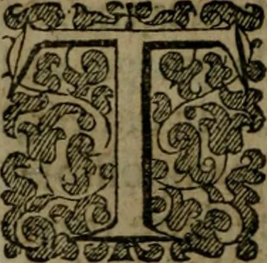 An illustration from Enqviries Tovching the diversity of Langvages, and Religions, through the chiefe parts of the World, 1635, leaf 91