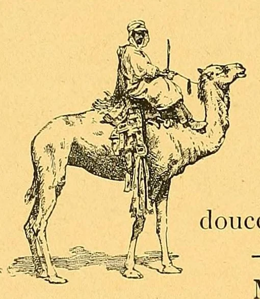 An illustration from En Sahara à travers le pays des Maures nomades, 1901, leaf 172