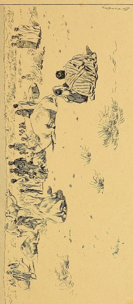 An illustration from En Sahara à travers le pays des Maures nomades, 1901, leaf 205