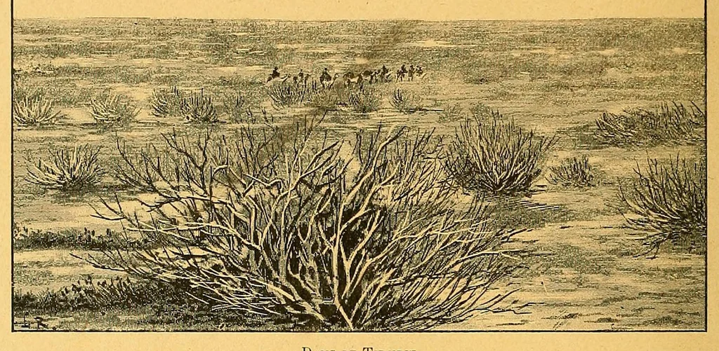 An illustration from En Sahara à travers le pays des Maures nomades, 1901, leaf 252