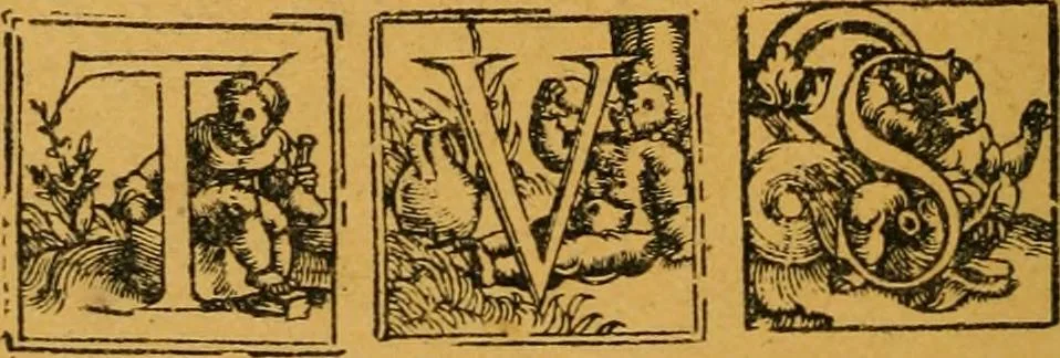 An illustration from Ensayos fotolitograficos, 1873, leaf 147