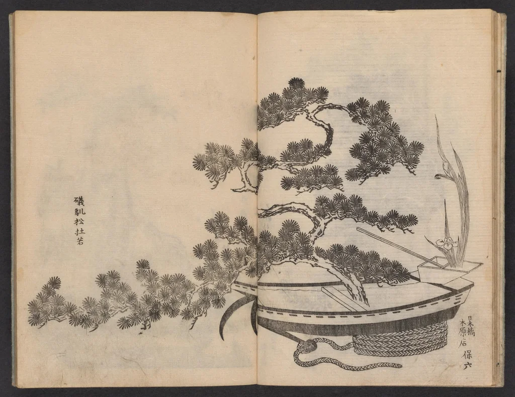 An illustration from Enshū-ryū sōka hyakuhei zushiki : shiki konzatsu, 1806, leaf 10