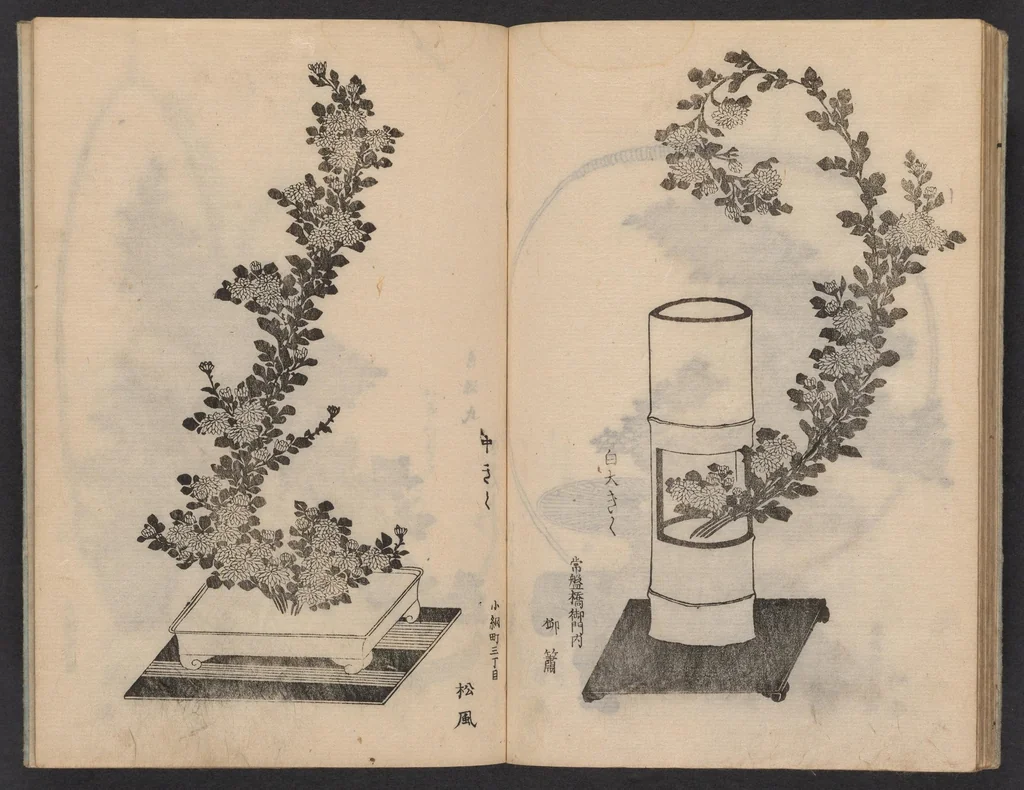 An illustration from Enshū-ryū sōka hyakuhei zushiki : shiki konzatsu, 1806, leaf 21