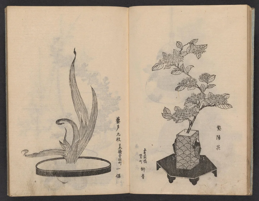 An illustration from Enshū-ryū sōka hyakuhei zushiki : shiki konzatsu, 1806, leaf 10