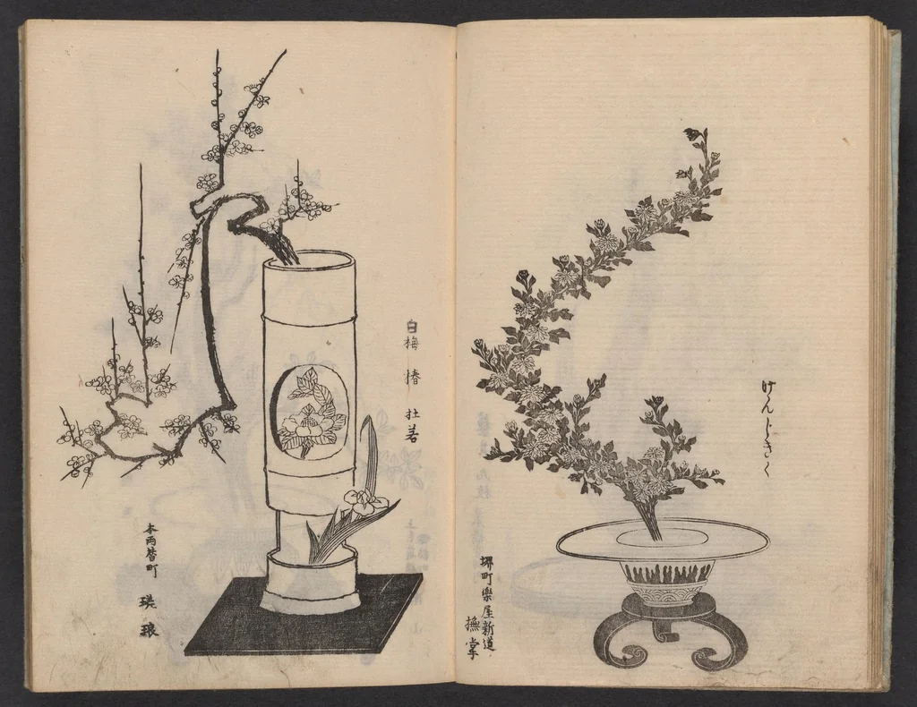An illustration from Enshū-ryū sōka hyakuhei zushiki : shiki konzatsu, 1806, leaf 11
