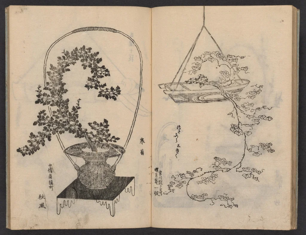 An illustration from Enshū-ryū sōka hyakuhei zushiki : shiki konzatsu, 1806, leaf 17