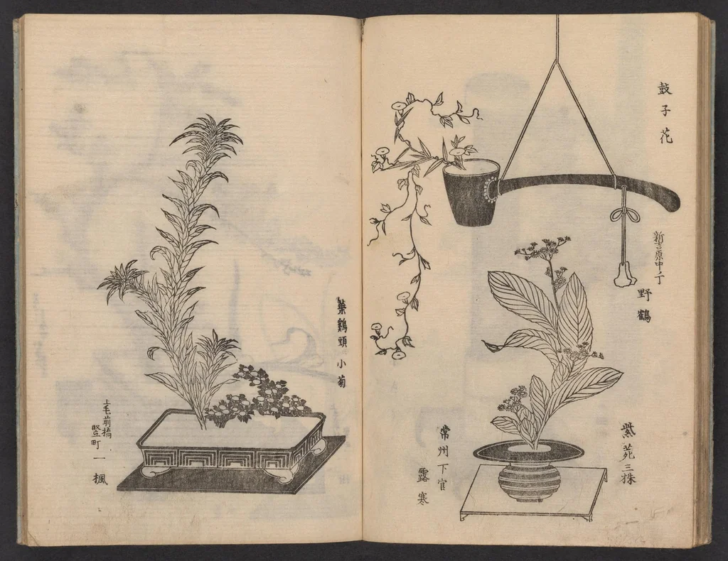 An illustration from Enshū-ryū sōka hyakuhei zushiki : shiki konzatsu, 1806, leaf 20