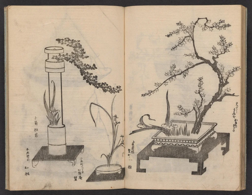 An illustration from Enshū-ryū sōka hyakuhei zushiki : shiki konzatsu, 1806, leaf 21