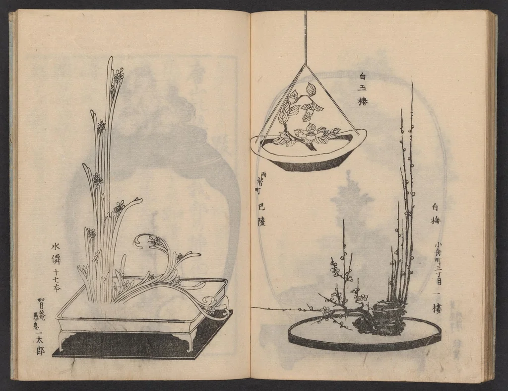 An illustration from Enshū-ryū sōka hyakuhei zushiki : shiki konzatsu, 1806, leaf 24