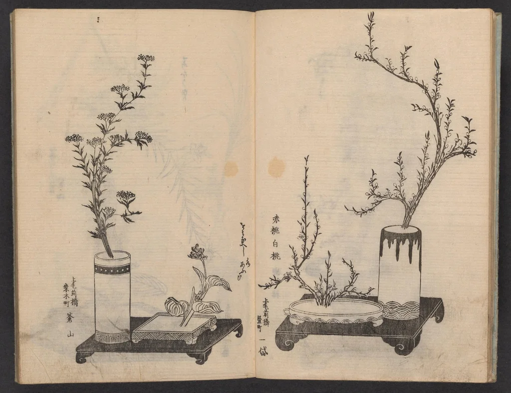 An illustration from Enshū-ryū sōka hyakuhei zushiki : shiki konzatsu, 1806, leaf 7
